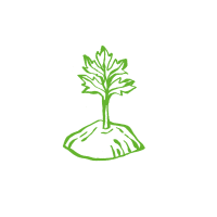FTF_Illust_Home_Goals_2 grow